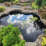 Rock Garden Pond