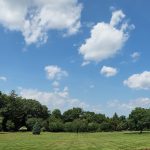 The Great Lawn as Seen from the Mansion