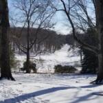 Meadow under Snow