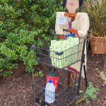 Scarecrows at the Arboretum