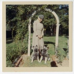 Matilda, Ted and Jake in the Garden