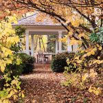 Gazebo and Fall Foliage