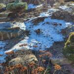 A Patch of Snow by the Rock Garden
