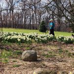 Painter on Great Lawn Painter on Great Lawn