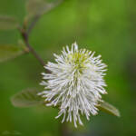 Earth Day by Katharine Boyle Earth Day by Katharine Boyle