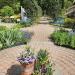 Benches in Blue Garden Benches in Blue Garden