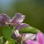 Steve Kanan 5/18/23 Steve Kanan 5/18/23