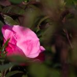 Steve Kanan 5/25/23 Steve Kanan 5/25/23