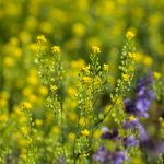 Steve Kanan 5/25/23 Steve Kanan 5/25/23