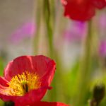 Steve Kanan 5/25/23 Steve Kanan 5/25/23