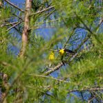 Steve Kanan 5/25/23 Steve Kanan 5/25/23