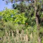 Steve Kanan 5/25/23 Steve Kanan 5/25/23