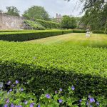 The Graperies The Graperies