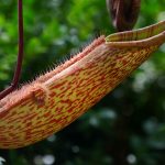 Steve Kanan 6-10-23 Steve Kanan 6-10-23