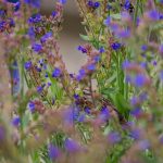 Steve Kanan 6-10-23 Steve Kanan 6-10-23