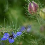 Steve Kanan 6-10-23 Steve Kanan 6-10-23