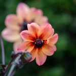 Steve Kanan 6-10-23 Steve Kanan 6-10-23