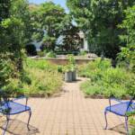 Blue Benches Blue Benches