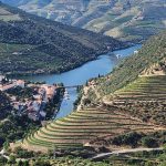 Douro Vallley Douro Vallley