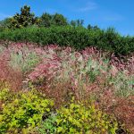Haggerty Entry Garden Haggerty Entry Garden