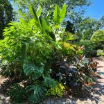 Tropical Circle Garden Tropical Circle Garden