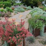 New Path at Arboretum New Path at Arboretum