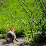 Steve Kanan - 7-30-23 Steve Kanan - 7-30-23