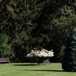 Steve Kanan - 7-30-23 Steve Kanan - 7-30-23