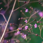 Steve Kanan - 7-30-23 Steve Kanan - 7-30-23