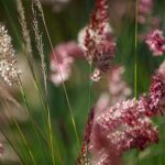 Steve Kanan - 9-4-23 Steve Kanan - 9-4-23