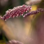 Steve Kanan - 9-4-23 Steve Kanan - 9-4-23