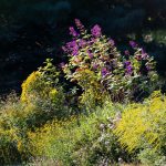 Steve Kanan - 9-4-23 Steve Kanan - 9-4-23