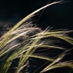 Steve Kanan - 9-4-23 Steve Kanan - 9-4-23