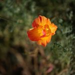 Steve Kanan - 9-4-23 Steve Kanan - 9-4-23