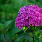 Steve Kanan - 9-4-23 Steve Kanan - 9-4-23