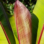 Steve Kanan - 9-4-23 Steve Kanan - 9-4-23