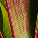 Steve Kanan - 9-4-23 Steve Kanan - 9-4-23