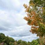 Katharine Boyle Oct. 15 2023 Katharine Boyle Oct. 15 2023