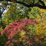 Steve Kanan - 10-22-23 Steve Kanan - 10-22-23