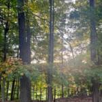 Karen Yuknevitch 231017 Karen Yuknevitch 231017