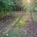 Karen Yuknevitch 231017 Karen Yuknevitch 231017