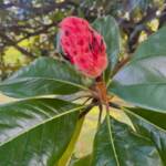 Karen Yuknevitch 231017 Karen Yuknevitch 231017