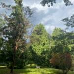 Karen Yuknevitch 231017 Karen Yuknevitch 231017