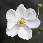 Katharine Boyle Nov. 5 2023 Katharine Boyle Nov. 5 2023