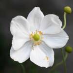 Katharine Boyle Nov. 5 2023 Katharine Boyle Nov. 5 2023