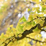 Katharine Boyle Nov. 5 2023 Katharine Boyle Nov. 5 2023