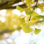 Katharine Boyle Nov. 5 2023 Katharine Boyle Nov. 5 2023