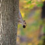 Steve Kanan 11/12/23 Steve Kanan 11/12/23