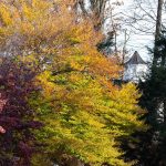 Steve Kanan 11/12/23 Steve Kanan 11/12/23