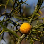 Steve Kanan 11/12/23 Steve Kanan 11/12/23